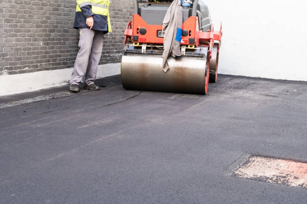 Best Decorative Concrete Driveways  in St John, IN